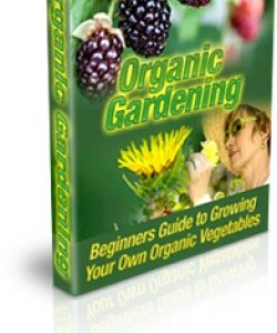 Organic Vegetable Gardening